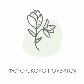 фото работы