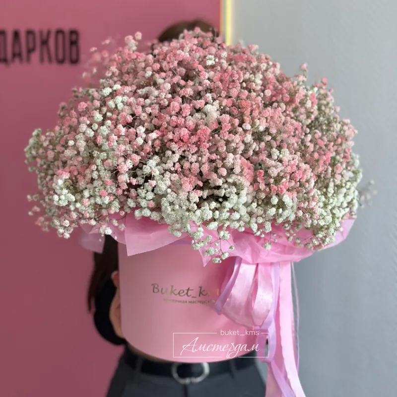 Гипсофила коробка большая 