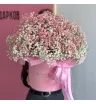 Гипсофила коробка большая 