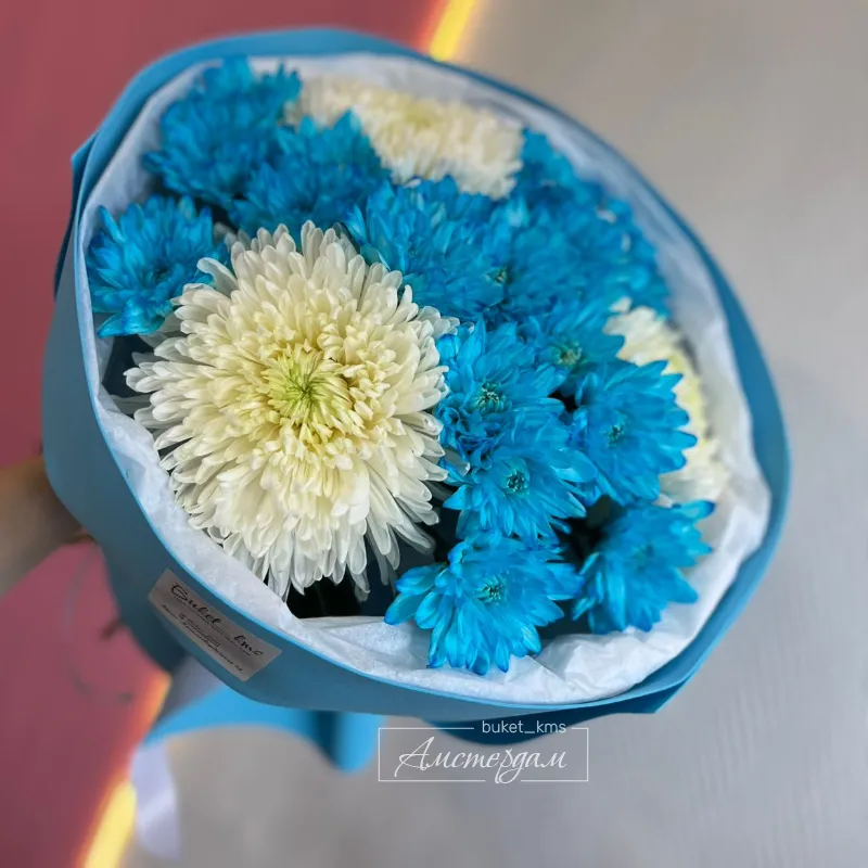 1 сентября 