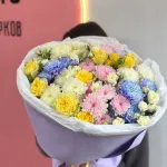Поводы