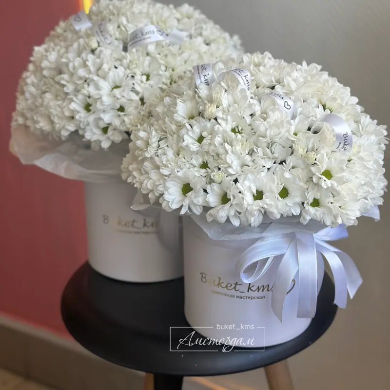 Облако хризантем