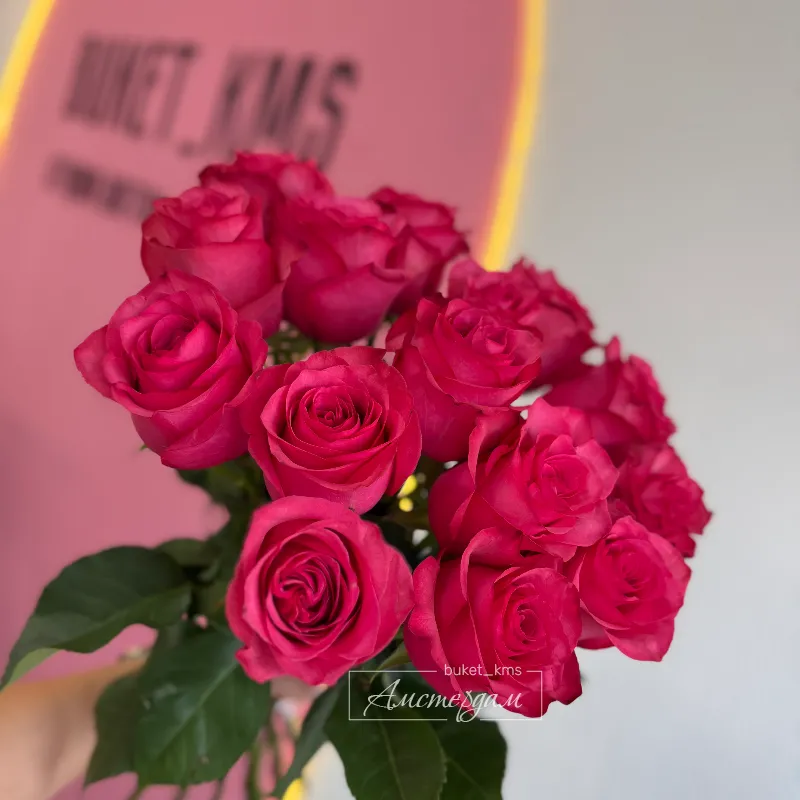 15 малиновых роз