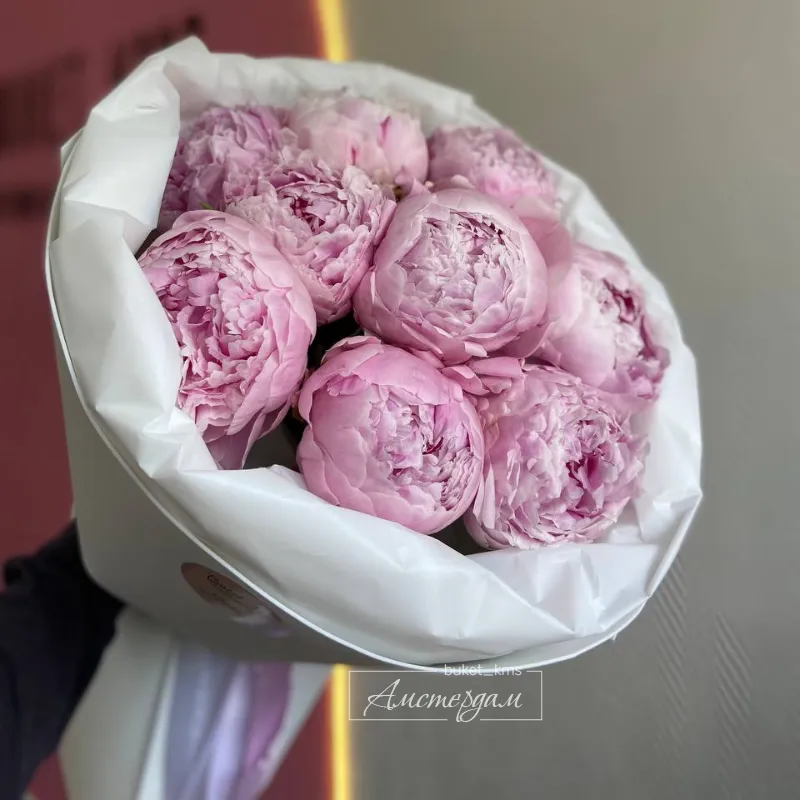 9 нежных пионов
