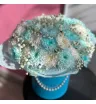 Нежное облачко в коробке