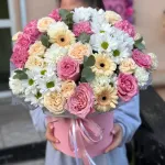 Композиции